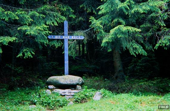 Krzyż Wicentego Pola na Polanie Smytniej