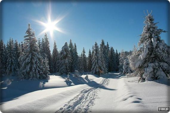 Słońce i śnieg