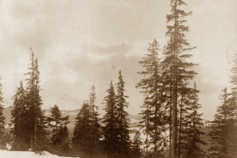 Zakopane i Tatry na starych fotografiach