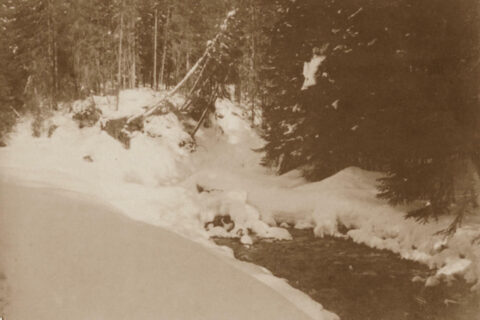 Zakopane i Tatry na starych fotografiach