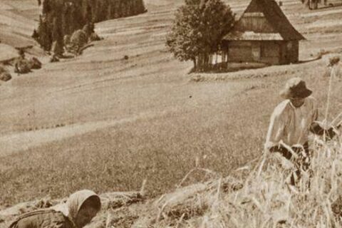 Zakopane i Tatry na starych fotografiach