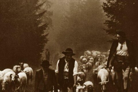 Zakopane i Tatry na starych fotografiach