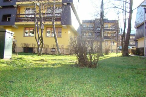 Święta bez śniegu - Zakopane 2009_1