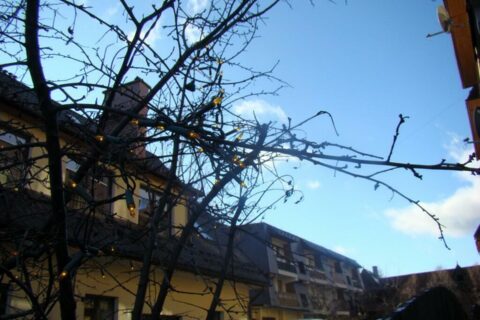 Święta bez śniegu - Zakopane 2009_2