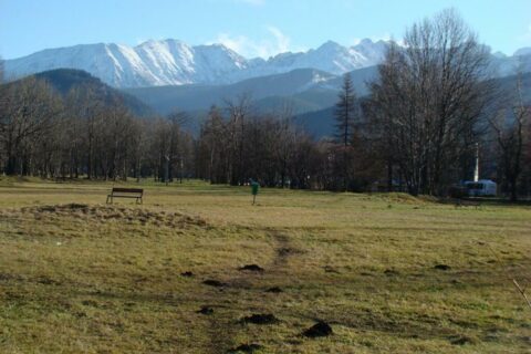 Święta bez śniegu - Zakopane 2009_15