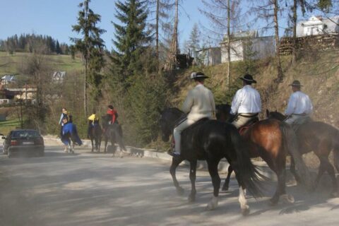 Święto bacowskie w Ludźmierzu_27