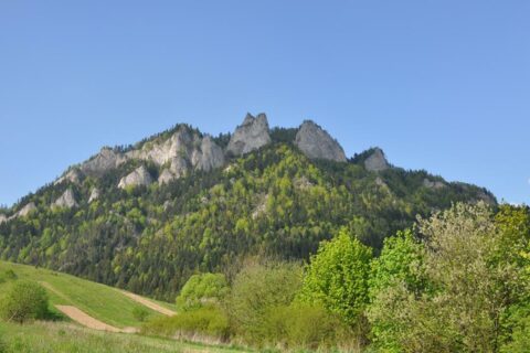 Czerwcowa wycieczka w Pieniny_23