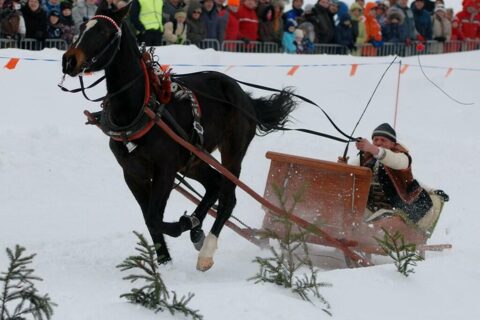 Góralski Karnawał - dzień 5 - kumoterki_31