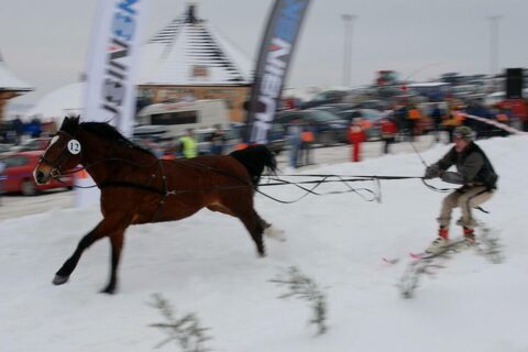 Góralski Karnawał - dzień 5 - kumoterki_37