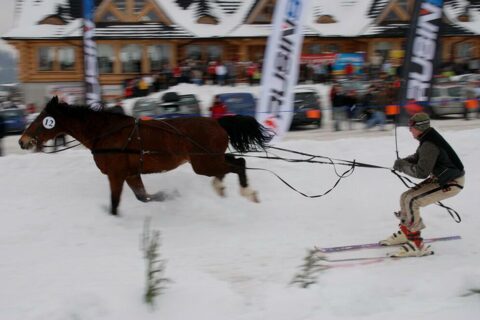 Góralski Karnawał - dzień 5 - kumoterki_38