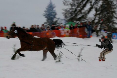Góralski Karnawał - dzień 5 - kumoterki_40