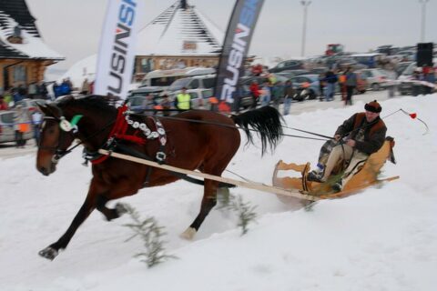 Góralski Karnawał - dzień 5 - kumoterki_41