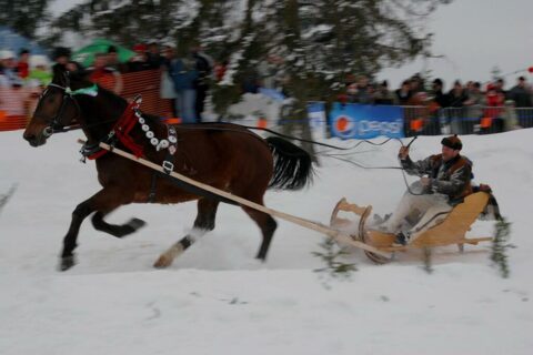 Góralski Karnawał - dzień 5 - kumoterki_42