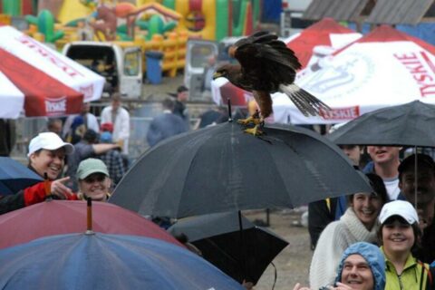 Wielka Majówka Tatrzańska 2010_60