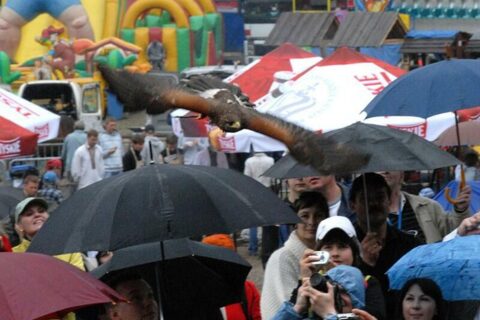 Wielka Majówka Tatrzańska 2010_61