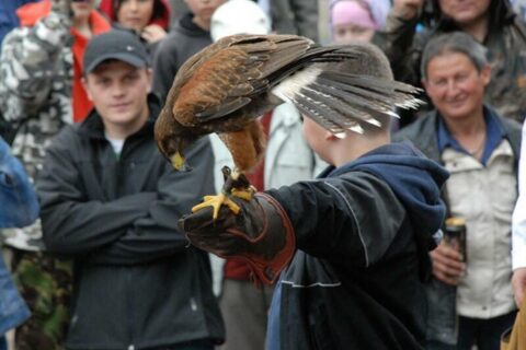 Wielka Majówka Tatrzańska 2010_63