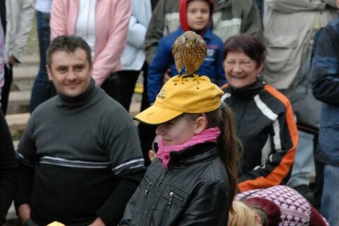 Wielka Majówka Tatrzańska 2010_65