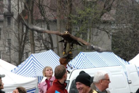 Wielka Majówka Tatrzańska 2010_68