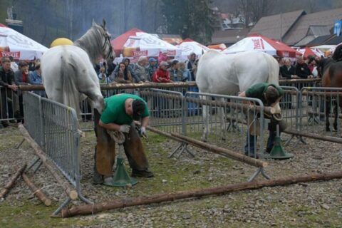 Wielka Majówka Tatrzańska 2010_72