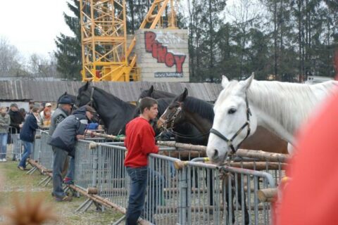 Wielka Majówka Tatrzańska 2010_83