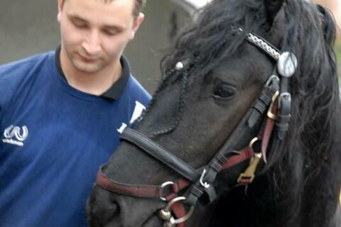 Wielka Majówka Tatrzańska 2010_93