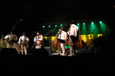 Trebunie Tutki i The Twinkle Brothers w Zakopanem_60