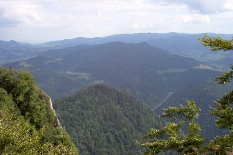 Czerwcowa wycieczka w Pieniny_31