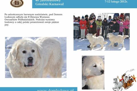 40. Góralski Karnawał - podsumowanie _20