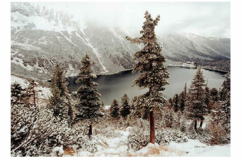 III