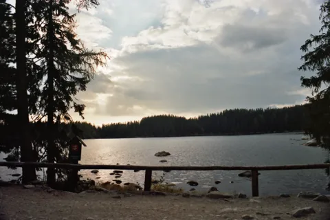 Świnica