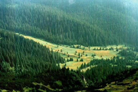 Dolina Tomanowa
