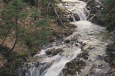 Strążyski Potok