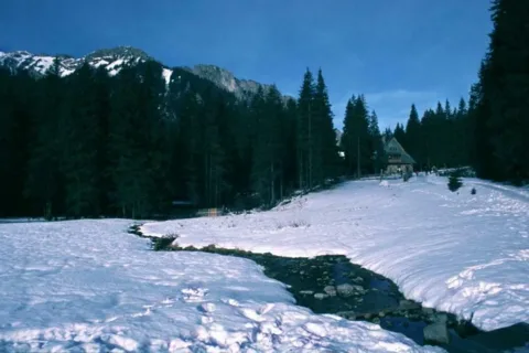 Schronisko Ornak