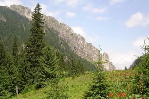 Kominy Tylkowe