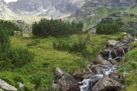 Dolina Gąsienicowa
