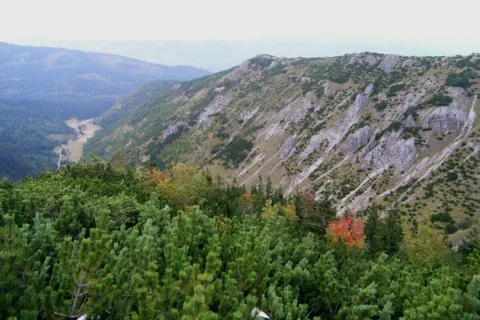 Dolina Jaworzynka
