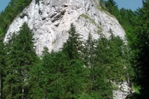 Na szlaku 12