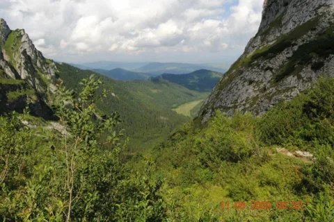 DOLINA MAŁEJ ŁĄKI