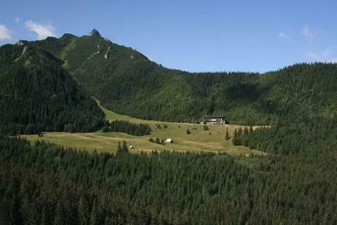 Kalatówki