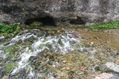Kościeliski Potok