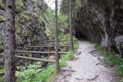 w Juraniowej Dolinie