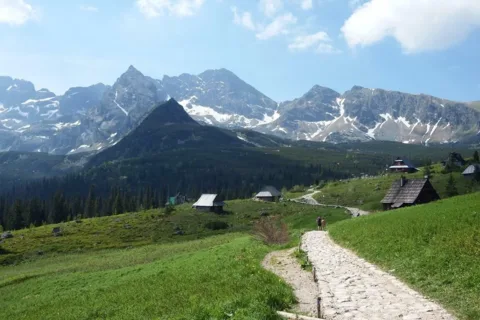 Hala Gąsienicowa