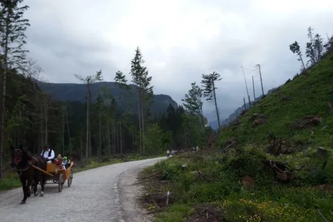 Dolina Kościeliska