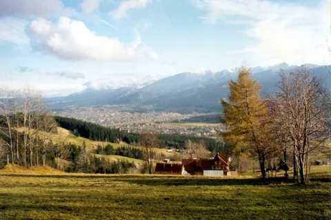 Widoczek
