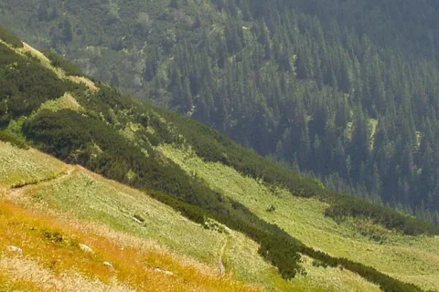 Widok z Kasprowego Wierchu