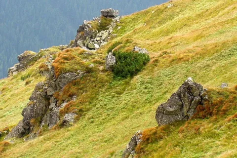 Widok z Kasprowego Wierchu