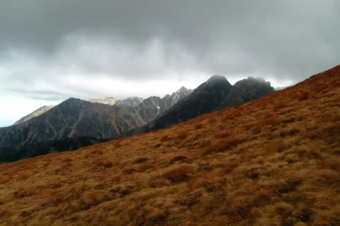 kolory jesieni