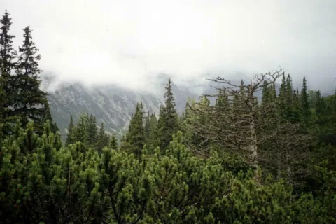 Tatry