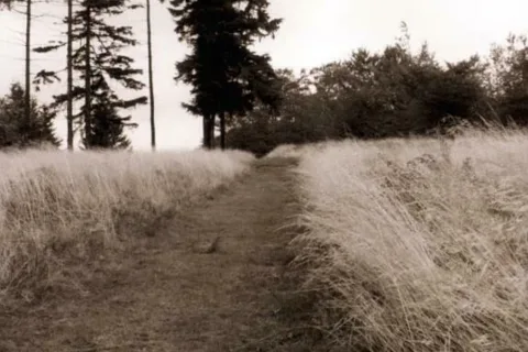 Beskid Sądecki