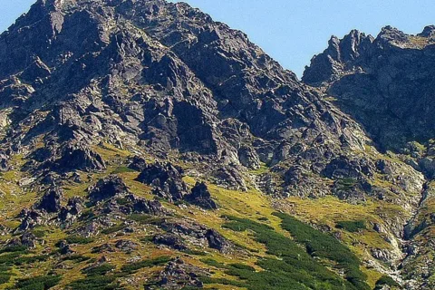 2005